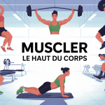 Entraînement muscle haut du corps vectoriel silhouettes