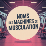 Vue d'ensemble des nom des machines de musculation en salle