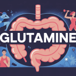 Quand prendre la glutamine sport digestion récupération illustration