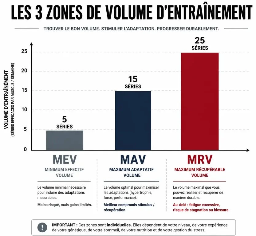 Graphique illustrant le volume de séries par muscle par semaine : MEV, MAV et MRV pour optimiser la musculation