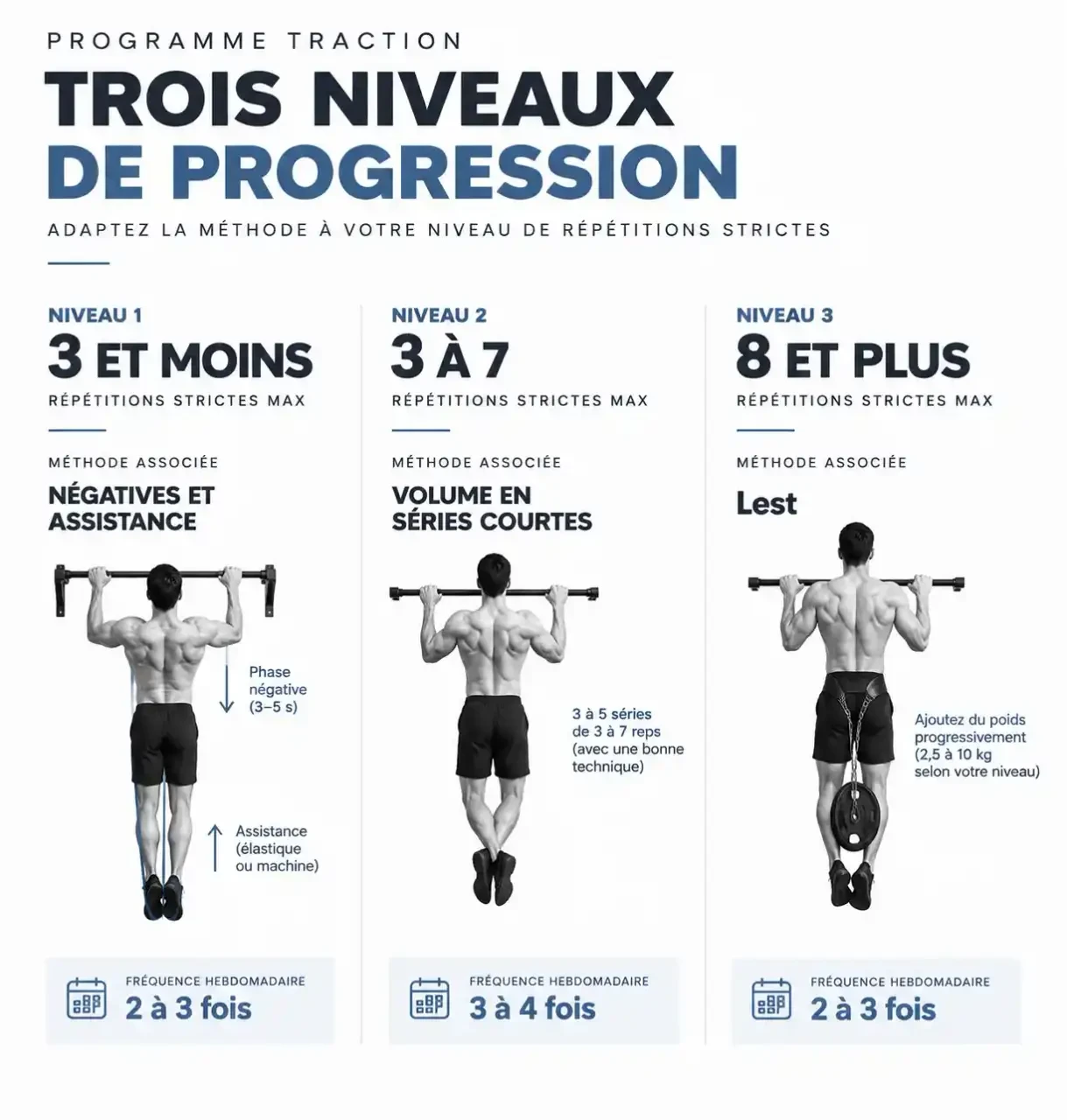 Programme traction : trois niveaux de progression selon le nombre maximal de répétitions, avec méthode et fréquence par niveau